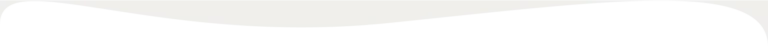 second Section topdivider